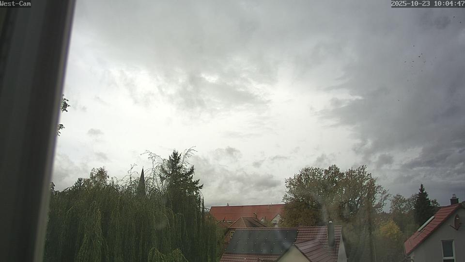Webcam live 