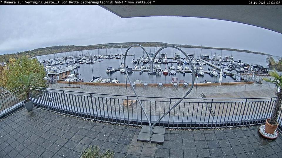 Webcam live 