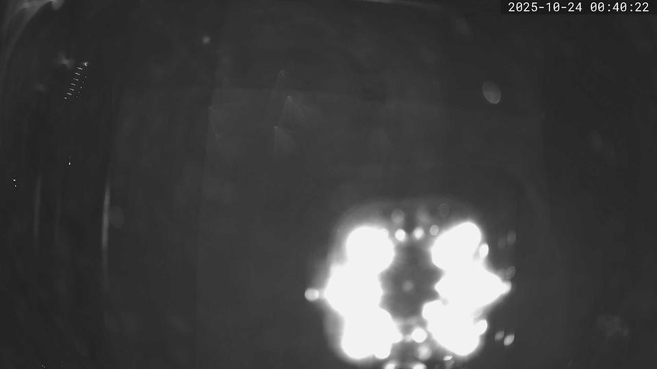 Webcam live 