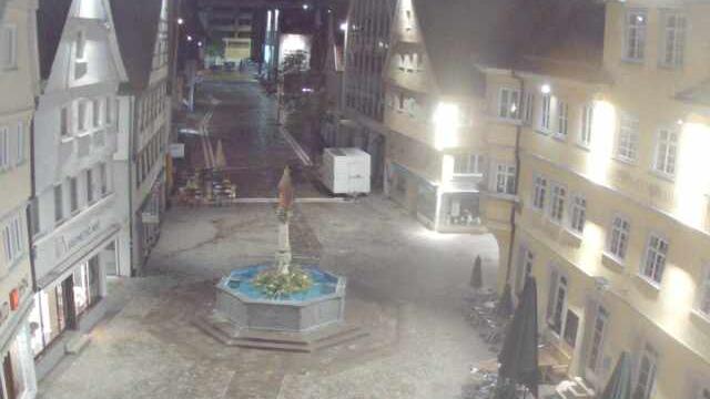 Webcam live 