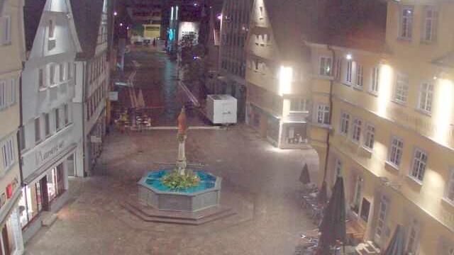Webcam live 