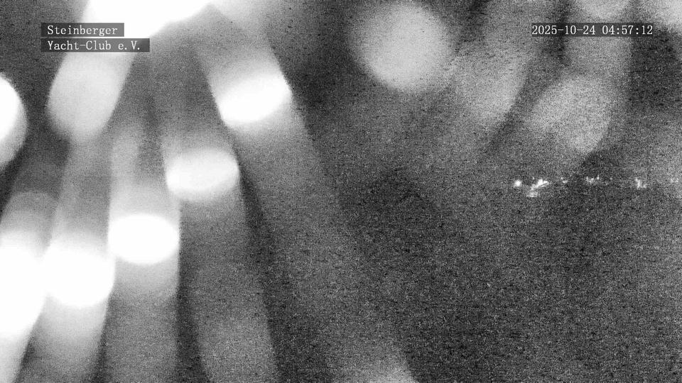 Webcam live 