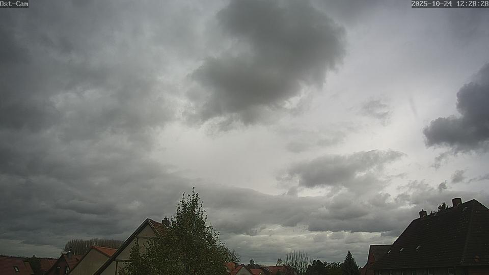 Webcam live 