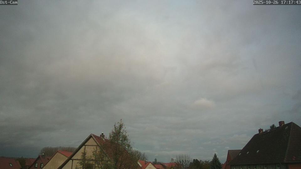 Webcam live 
