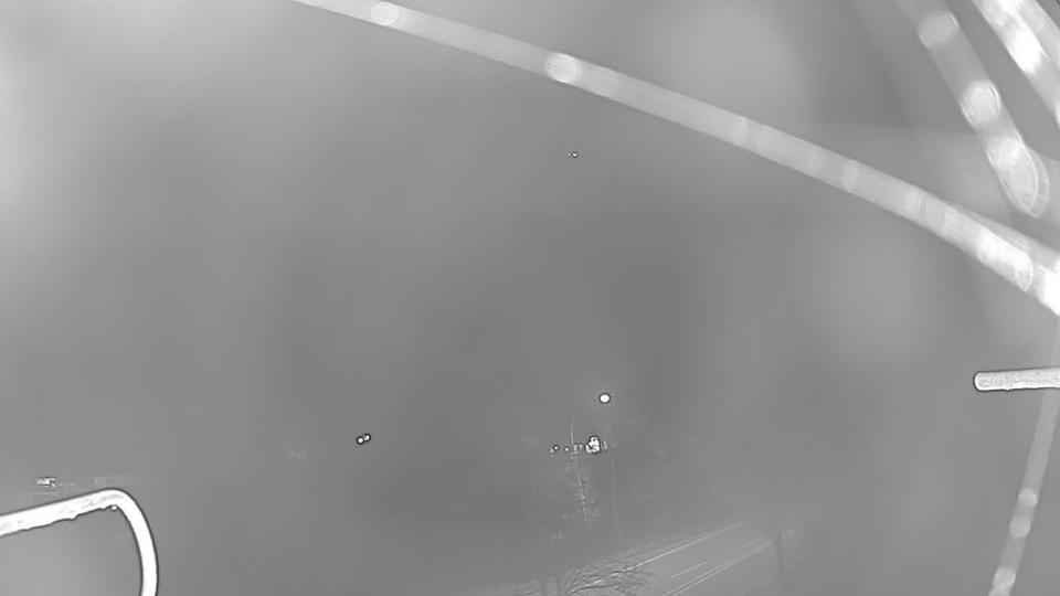 Webcam live 