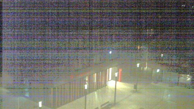 Webcam live 