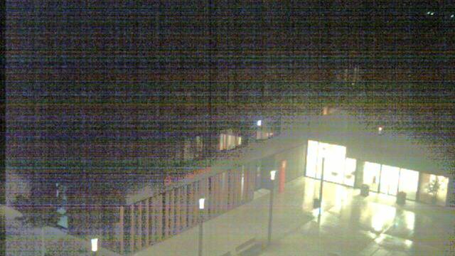 Webcam live 