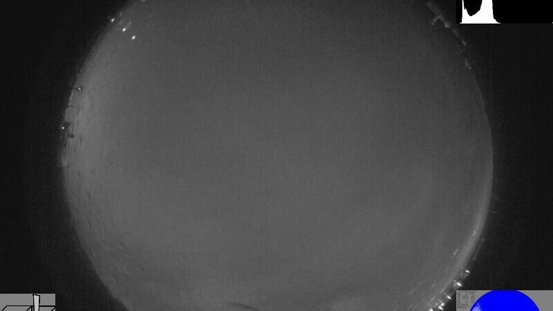 Webcam live 