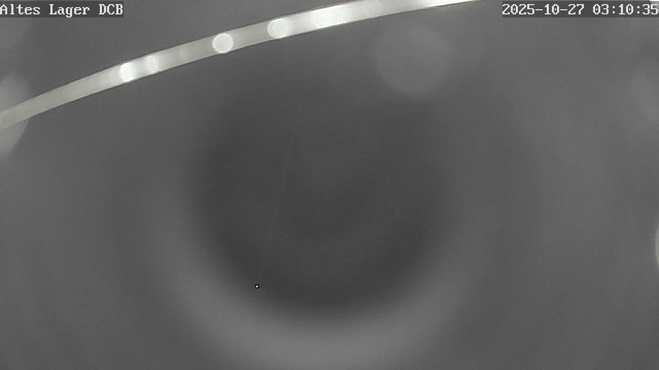 Webcam live 