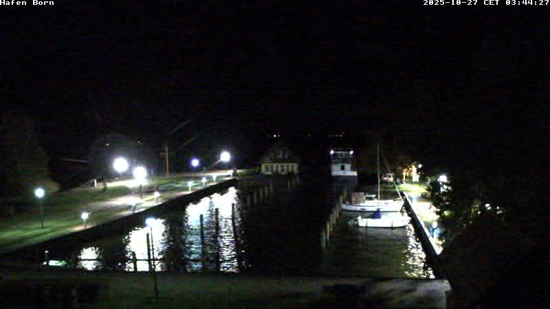 Webcam live 