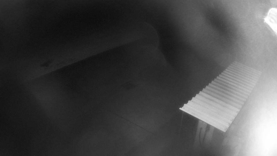 Webcam live 
