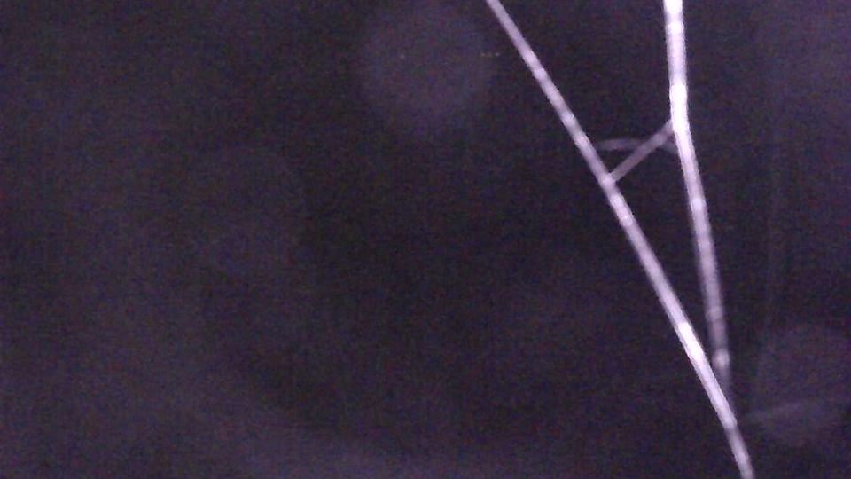 Webcam live 