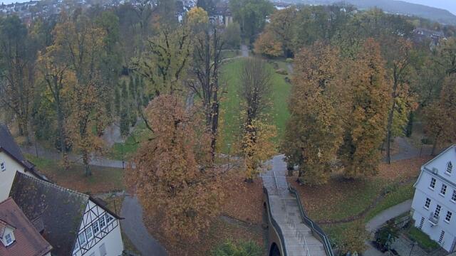 Webcam live 