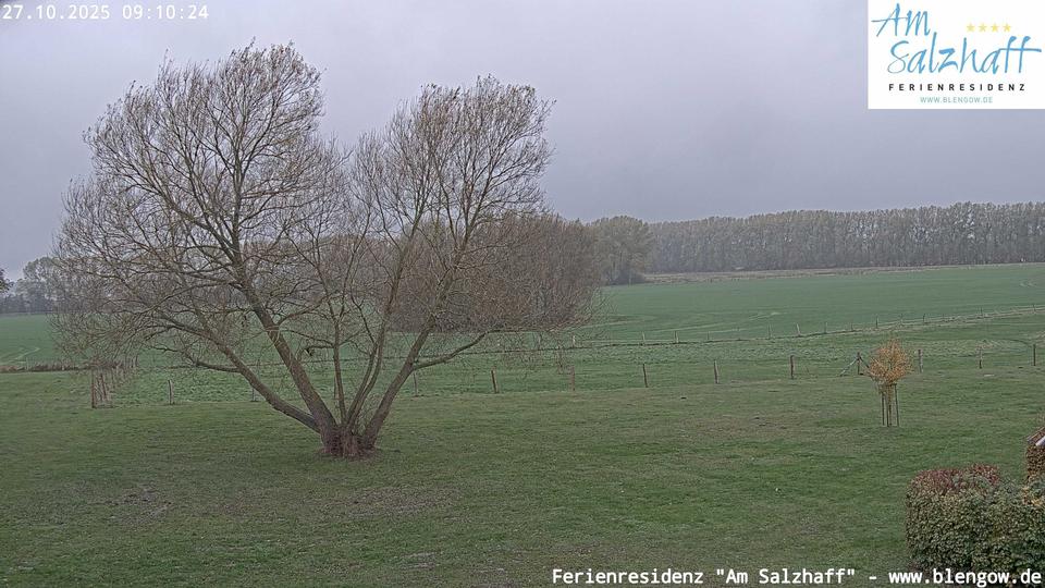 Webcam live 
