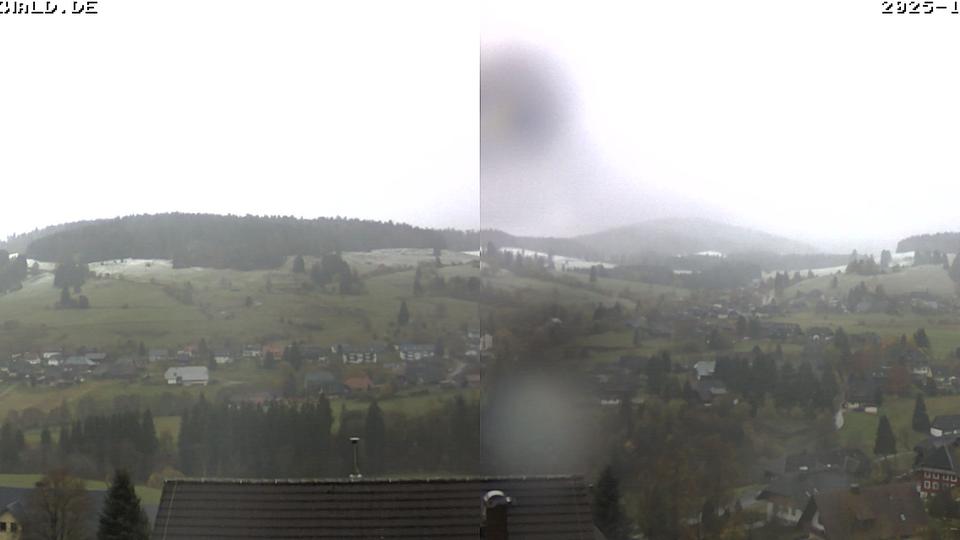 Webcam live 