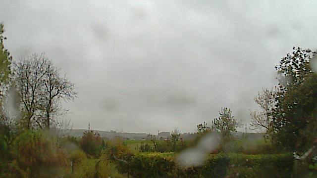 Webcam live 