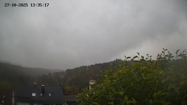 Webcam live 