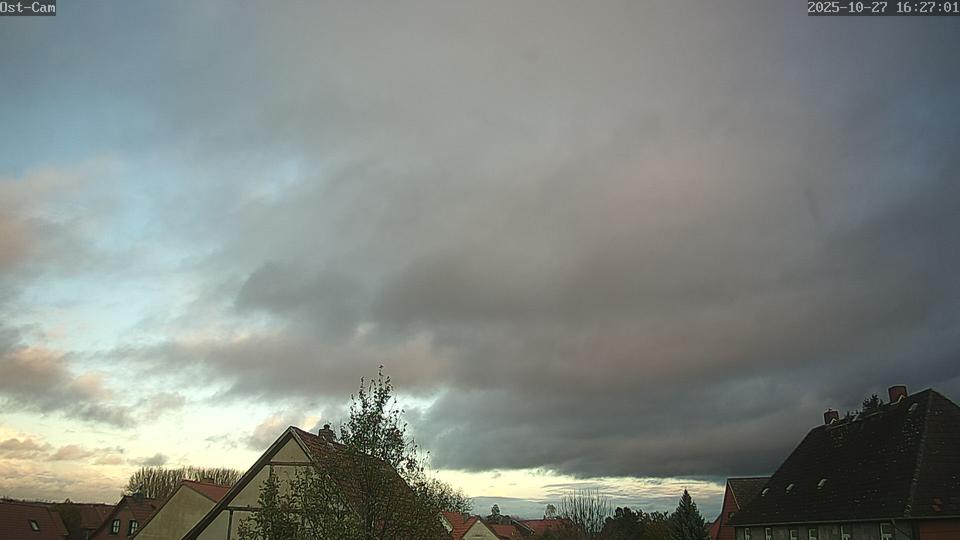 Webcam live 