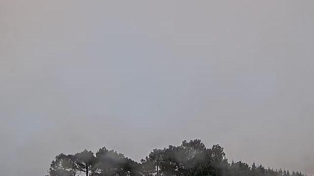 Webcam live 