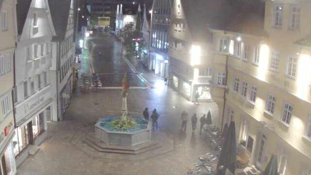 Webcam live 