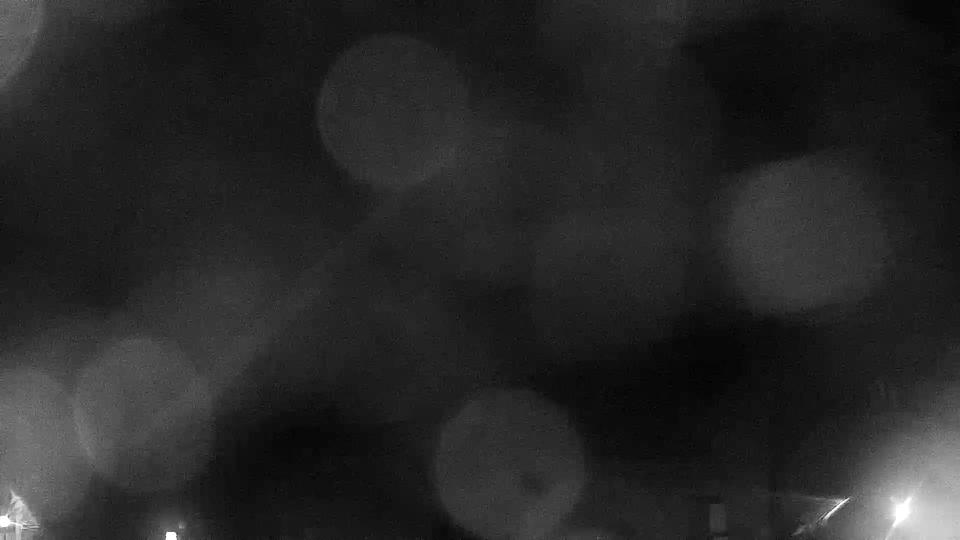 Webcam live 