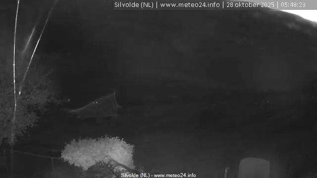 Webcam live 