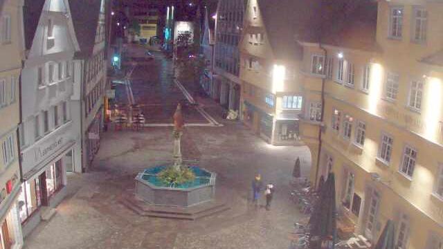 Webcam live 