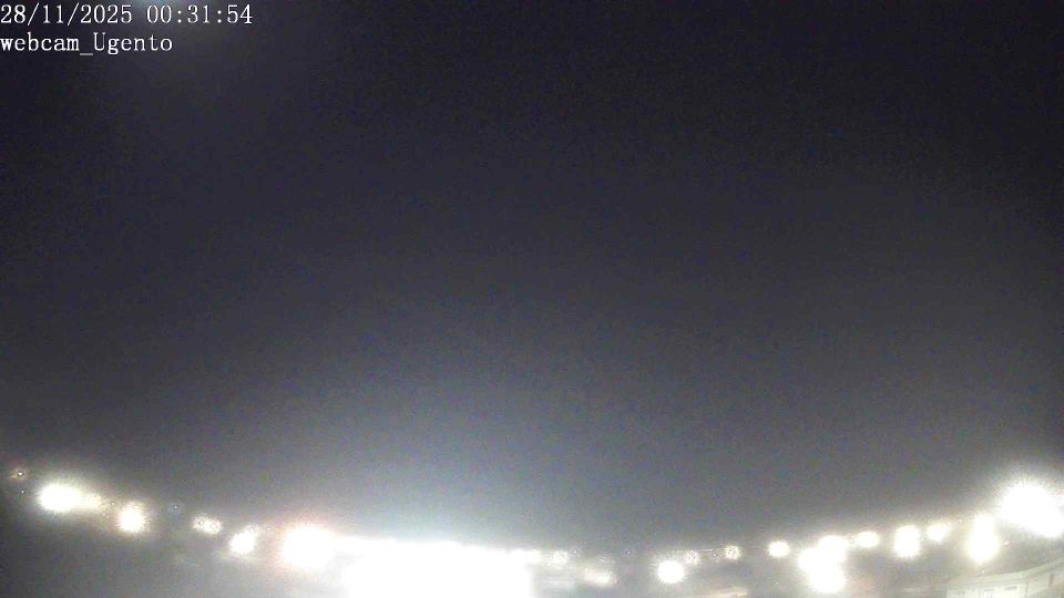 Webcam live 