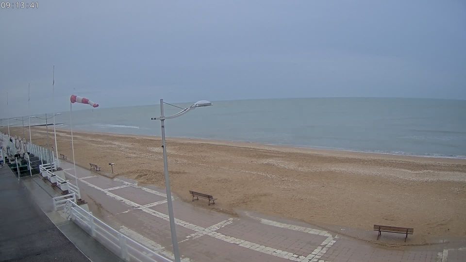 Webcam live 