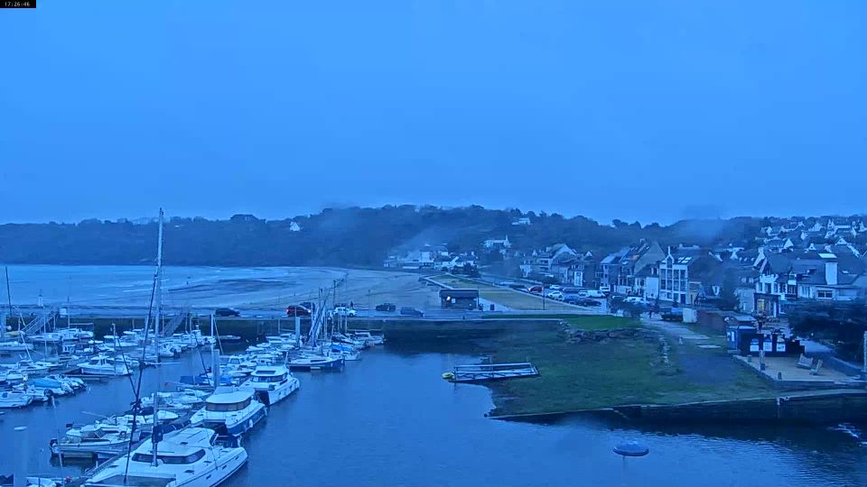 Webcam live 