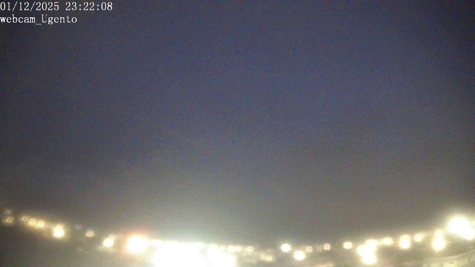 Webcam live 