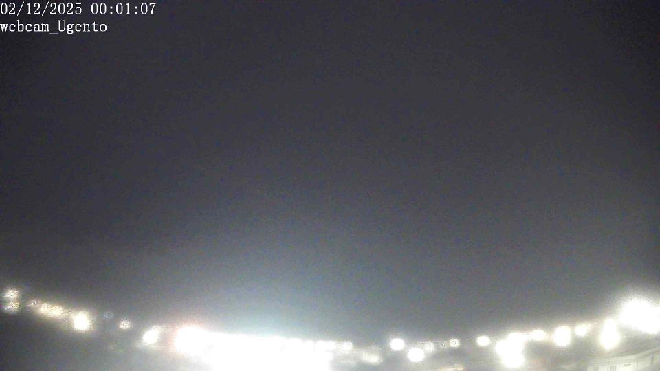 Webcam live 