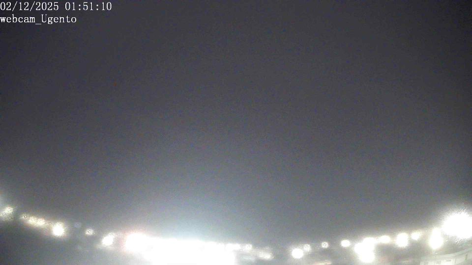 Webcam live 