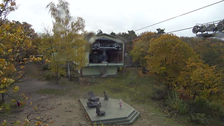 Webcam live