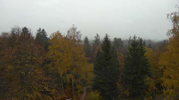 Webcam live