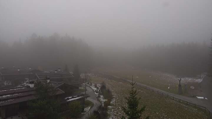 Webcam live