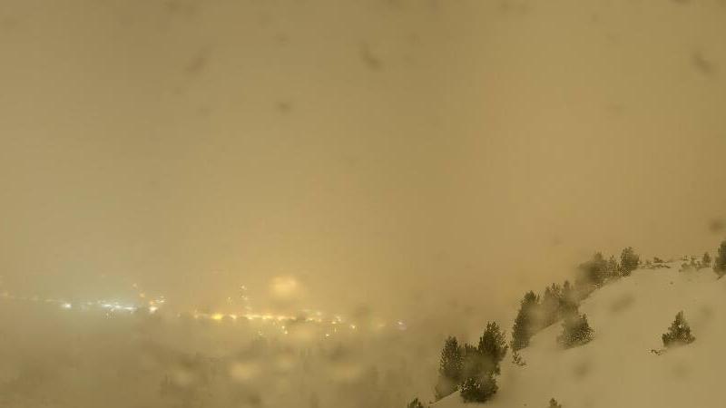 Webcam live