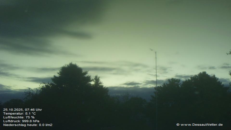 Webcam live
