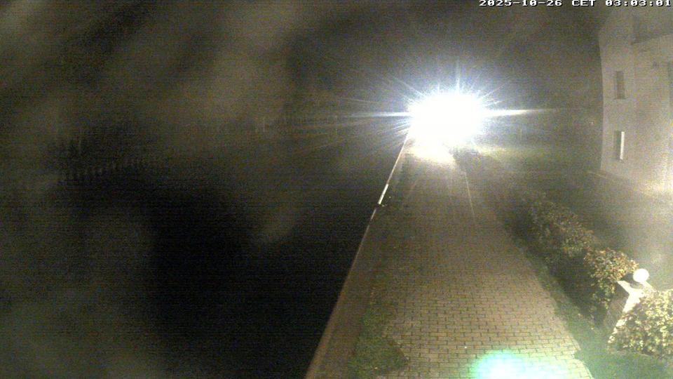 Webcam live