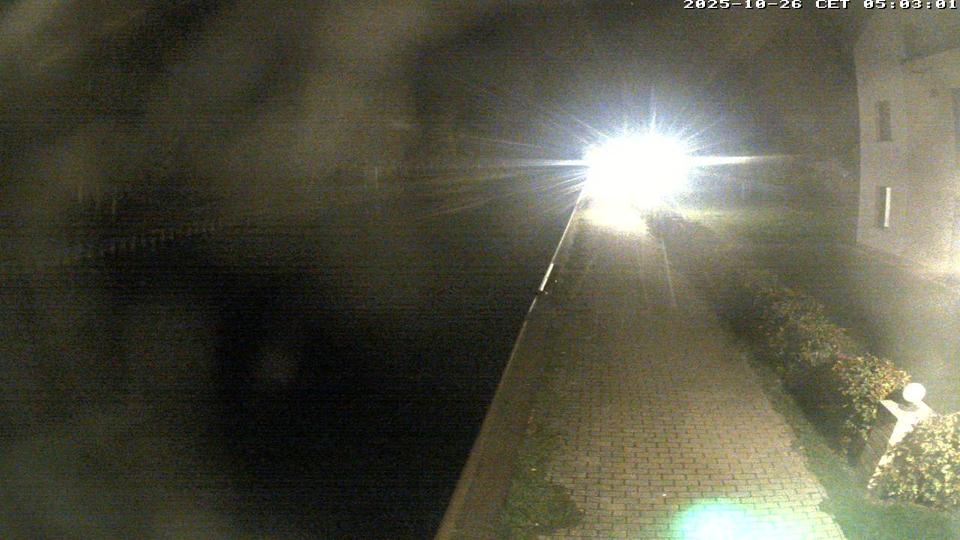 Webcam live