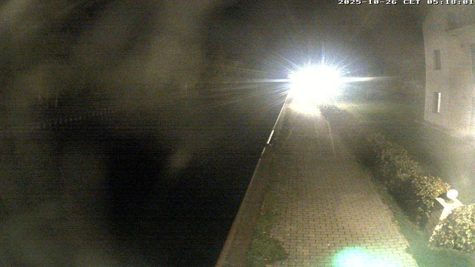 Webcam live