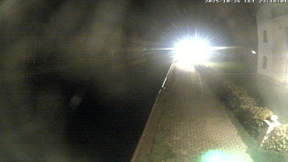 Webcam live