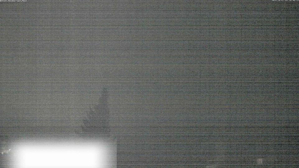 Webcam live