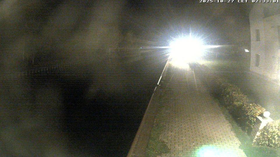 Webcam live
