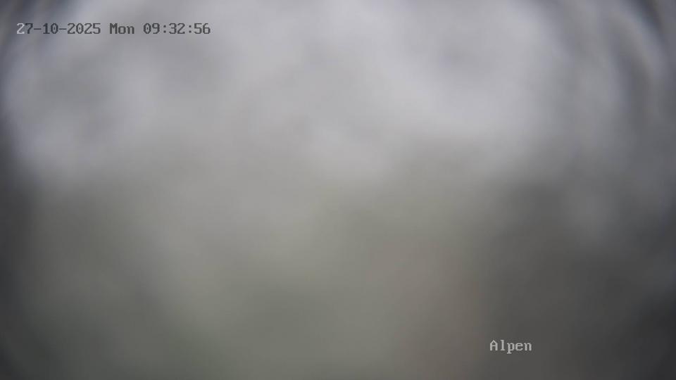 Webcam live
