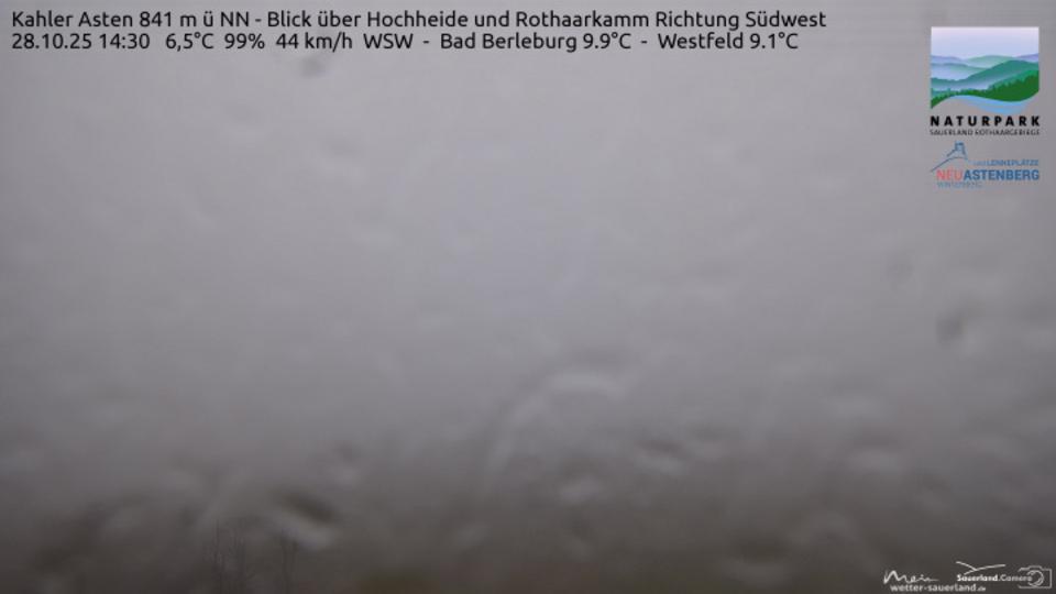 Webcam live