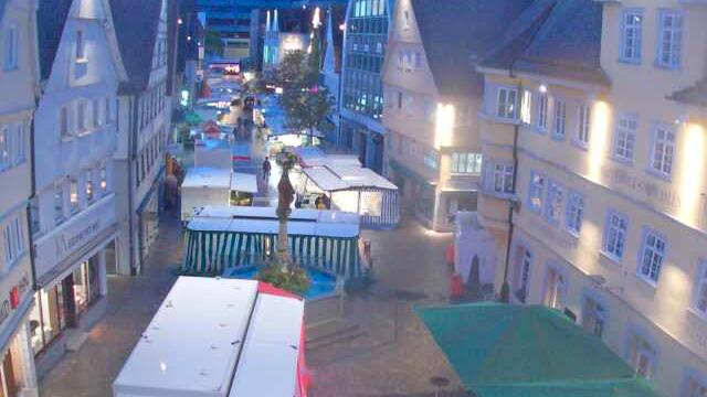 Webcam live