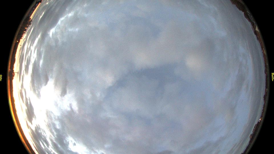 Webcam live