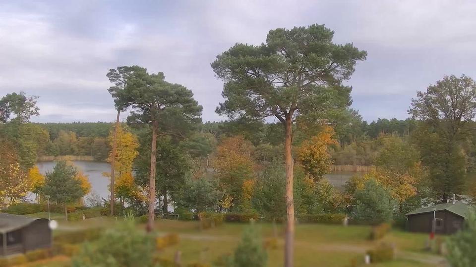 Webcam live