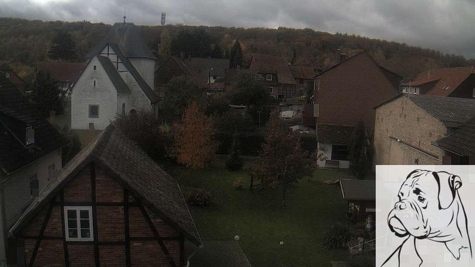 Webcam live